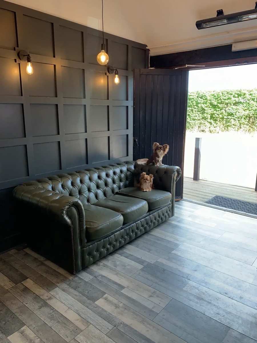 Two dogs relaxing on the green sofa in the academy
