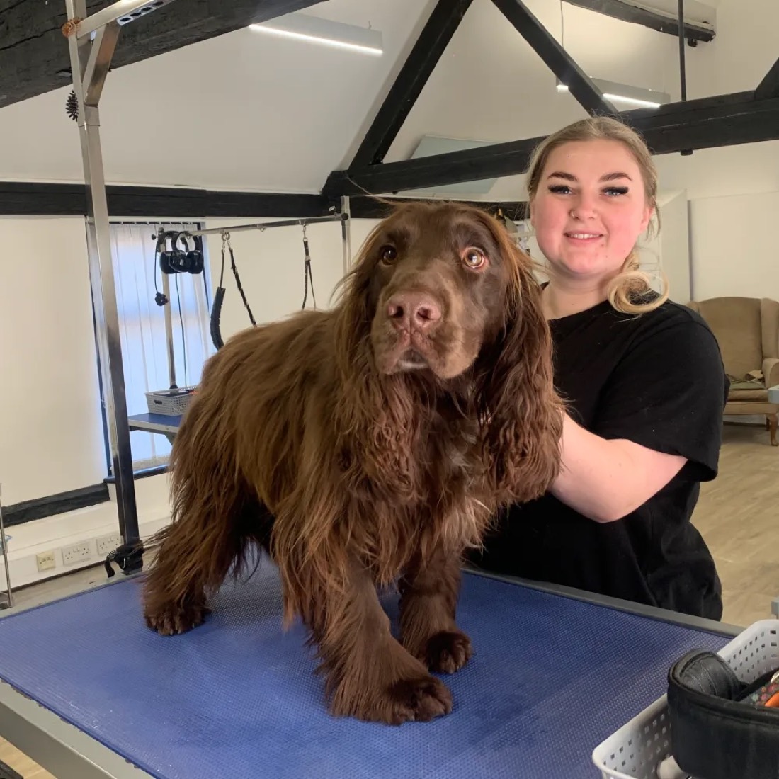 Jodie with a long-coated brown spaniel in the training room