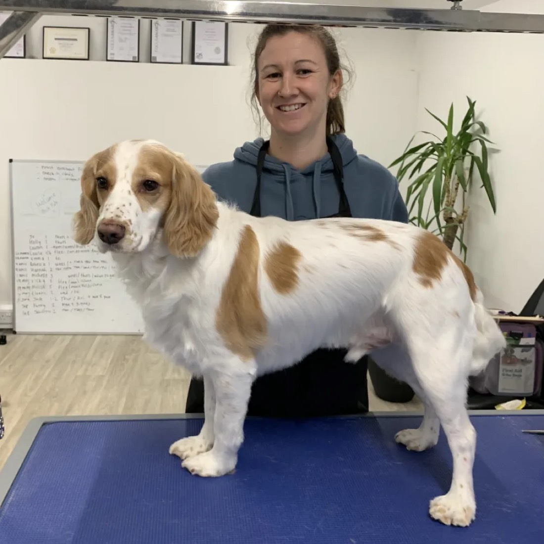 Sammie, an Upper Hound graduate