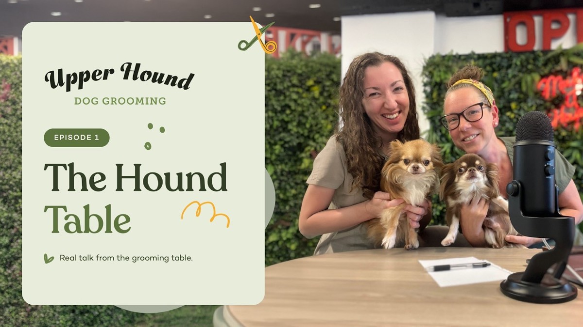 Two of the Upper Hound team holding long-haired chihuahuas at the podcast microphone, next to the title The Hound Table, episode 1